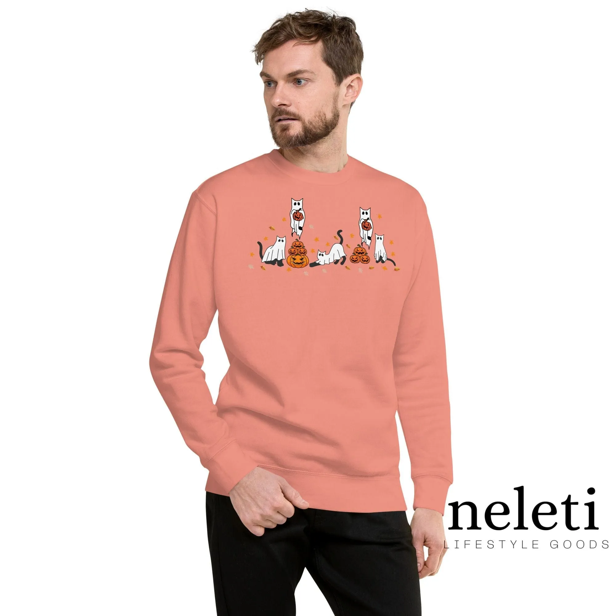 Halloween Sweatshirts: Premium Cat Lover's Edition