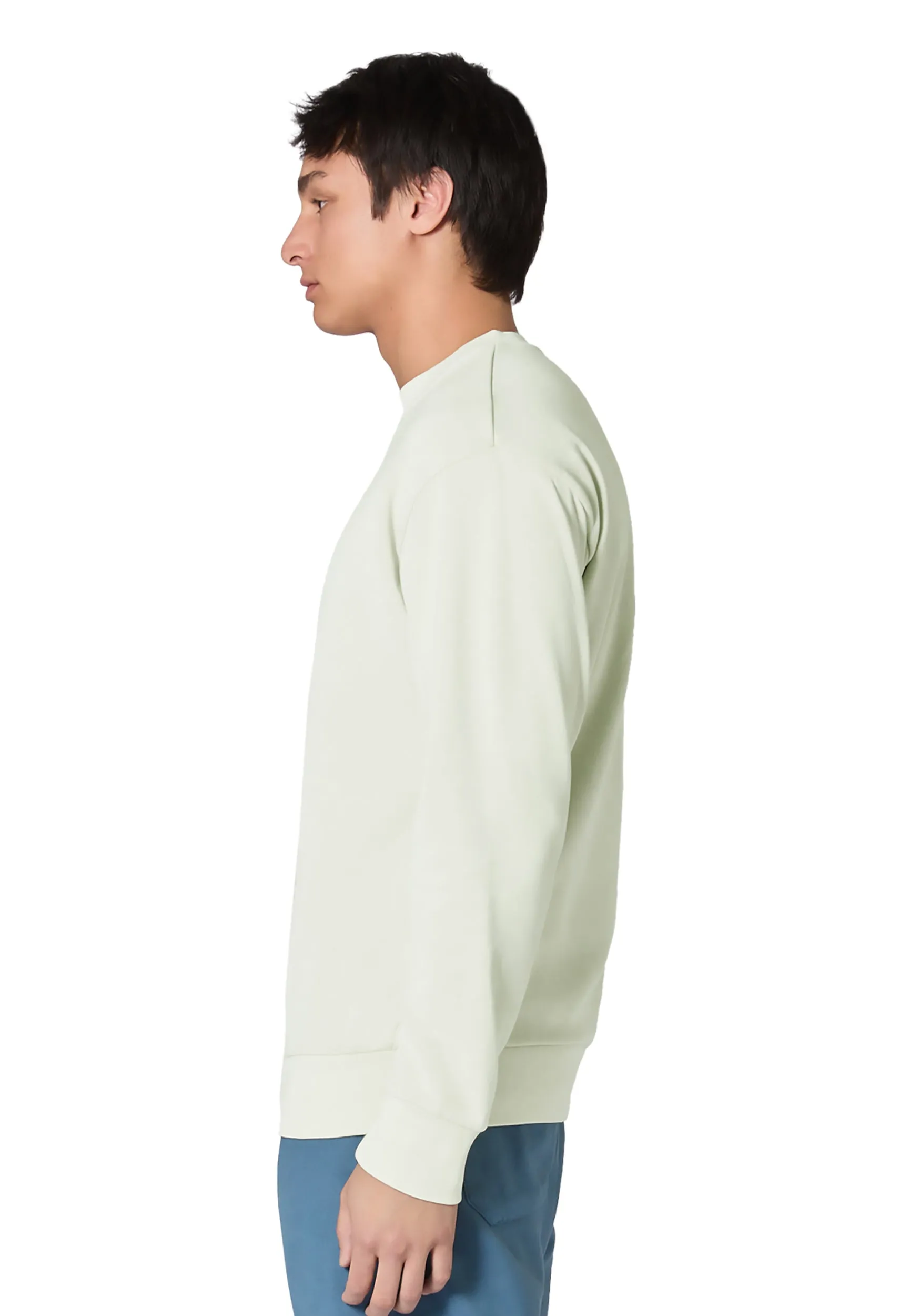 Premium Streetwear Sweatshirt - Pistachio